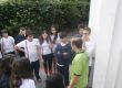 Alunos e monitor em atividade de campo durante o Estudo do Meio
