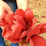 Flor vermelha do jardim, registro do projeto Releitura de Imagens do 2º ano