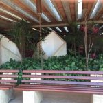 Bancos sob a pérgola do colégio, registro do projeto Releitura de Imagens do 2º ano