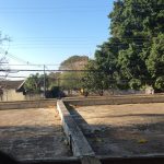 Vista do gramado e das árvores, registro do projeto Releitura de Imagens do 2º ano
