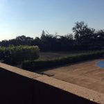 Cerca viva do campo do colégio, registro do projeto Releitura de Imagens do 2º ano
