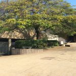 Árvore e área de areia do parquinho, registro do projeto Releitura de Imagens do 2º ano