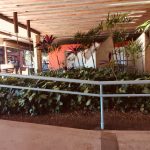 Pátio coberto do colégio, registro do projeto Releitura de Imagens do 2º ano