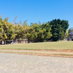 Gramado e árvores do colégio, registro do projeto Releitura de Imagens do 2º ano