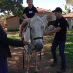 Aluno da Educação Infantil monta a cavalo na visita ao Sítio São José