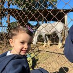 Alunos observam e alimentam os animais do Sítio São José