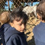 Alunos observam e alimentam os animais do Sítio São José