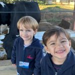 Alunos observam e alimentam os animais do Sítio São José