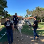 Alunos observam e alimentam os animais do Sítio São José