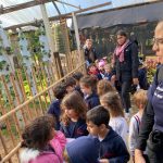 Alunos observam e alimentam os animais do Sítio São José