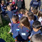 Alunos observam e alimentam os animais do Sítio São José