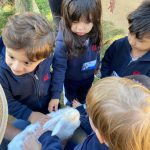 Alunos observam e alimentam os animais do Sítio São José