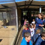 Alunos observam e alimentam os animais do Sítio São José