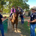 Aluno da Educação Infantil monta a cavalo na visita ao Sítio São José