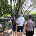 Alunos em atividade na área externa durante a Mostra Cultural