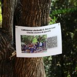 Cartaz com QR code fixado em árvore, parte do percurso externo da Mostra Cultural
