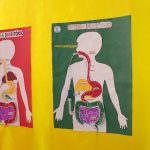 Painel com trabalhos de alunos exposto na Mostra Cultural