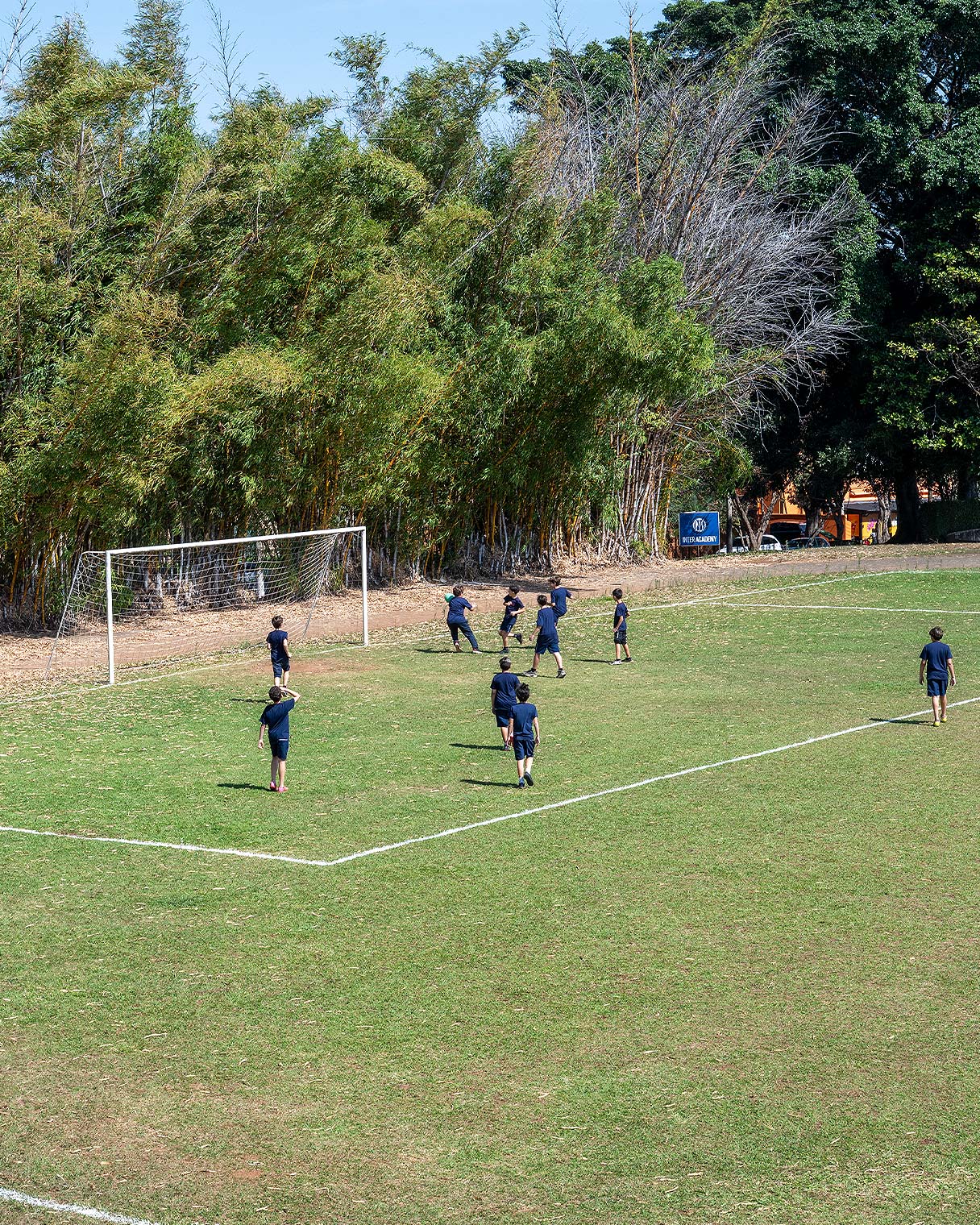 Crianças de uniforme azul em treino de futebol em um campo gramado, com o gol à esquerda e uma linha de bambus ao fundo